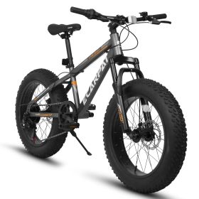 A20316 20 Inch Fat Tire Bike Adult/Youth Full Shimano 7 Speed Mountain Bike, Dual Disc Brake, High-Carbon Steel Frame, Front Suspension